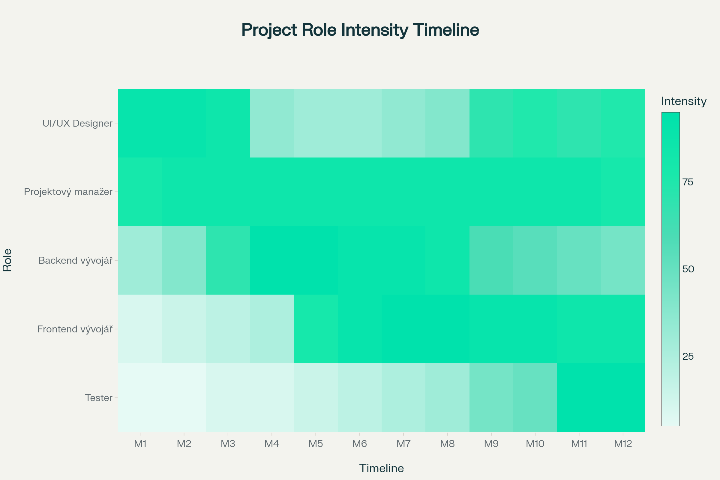 Rozvržení pracovní intenzity jednotlivých rolí v čase projektu.