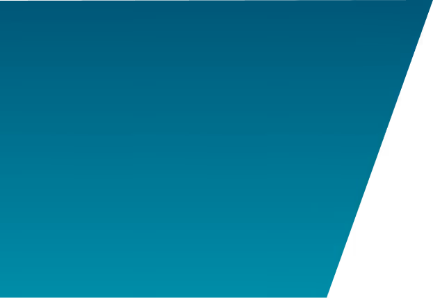 Decorative vector graphic used in SSM-MAW Muslim Awareness Week website design