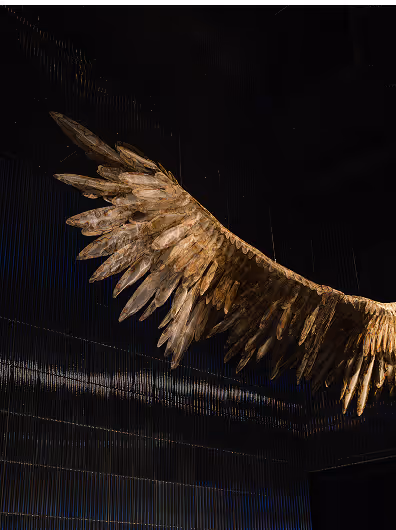 Artistic sculpture of a large golden wing against a dark background.