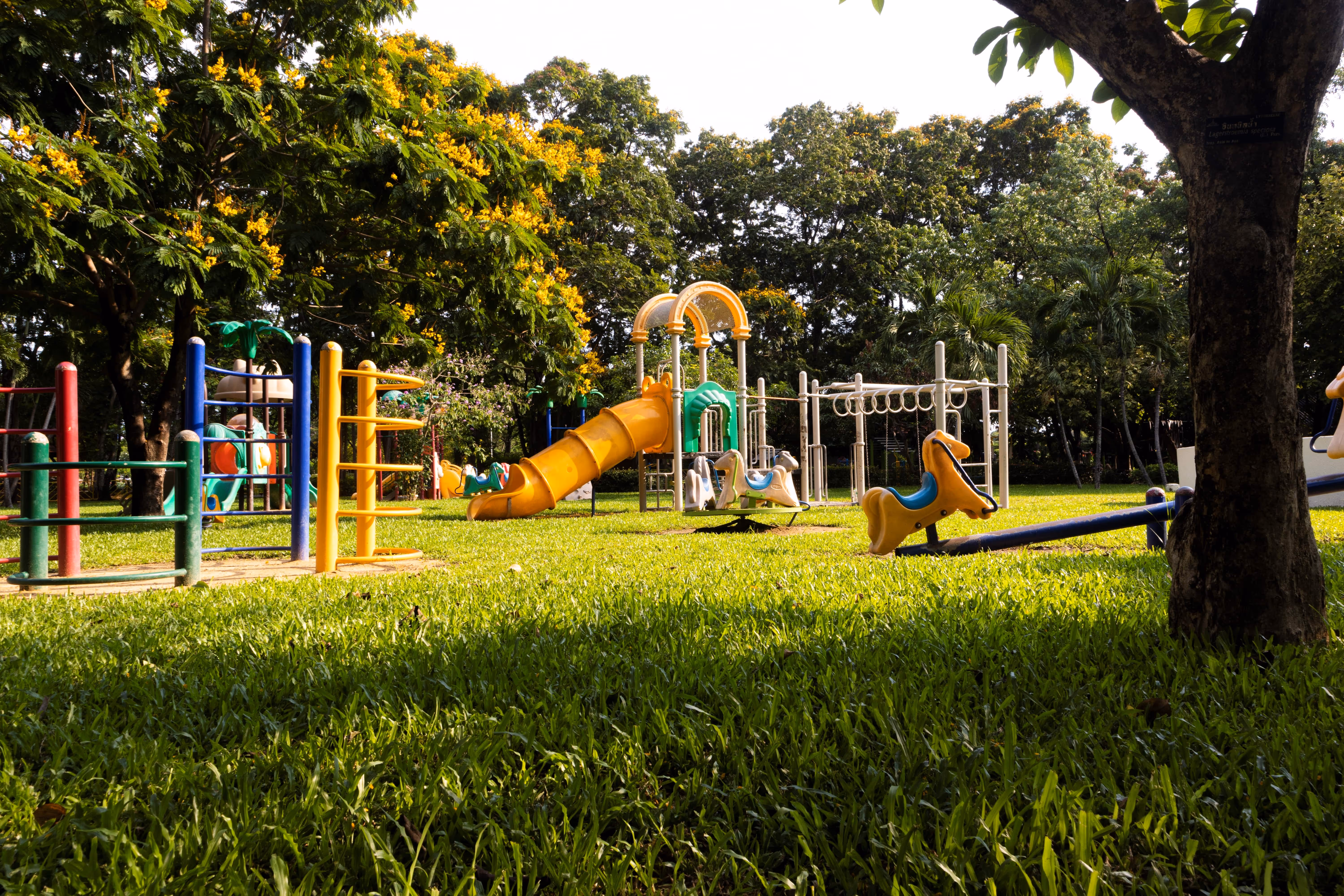 Colorful playground equipment including slides, swings, and spring riders on green grass under trees.