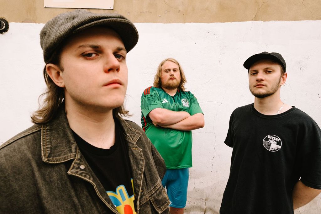 image of concert crowd