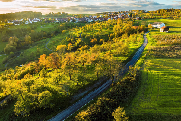 Bringing Responsible Business to Life