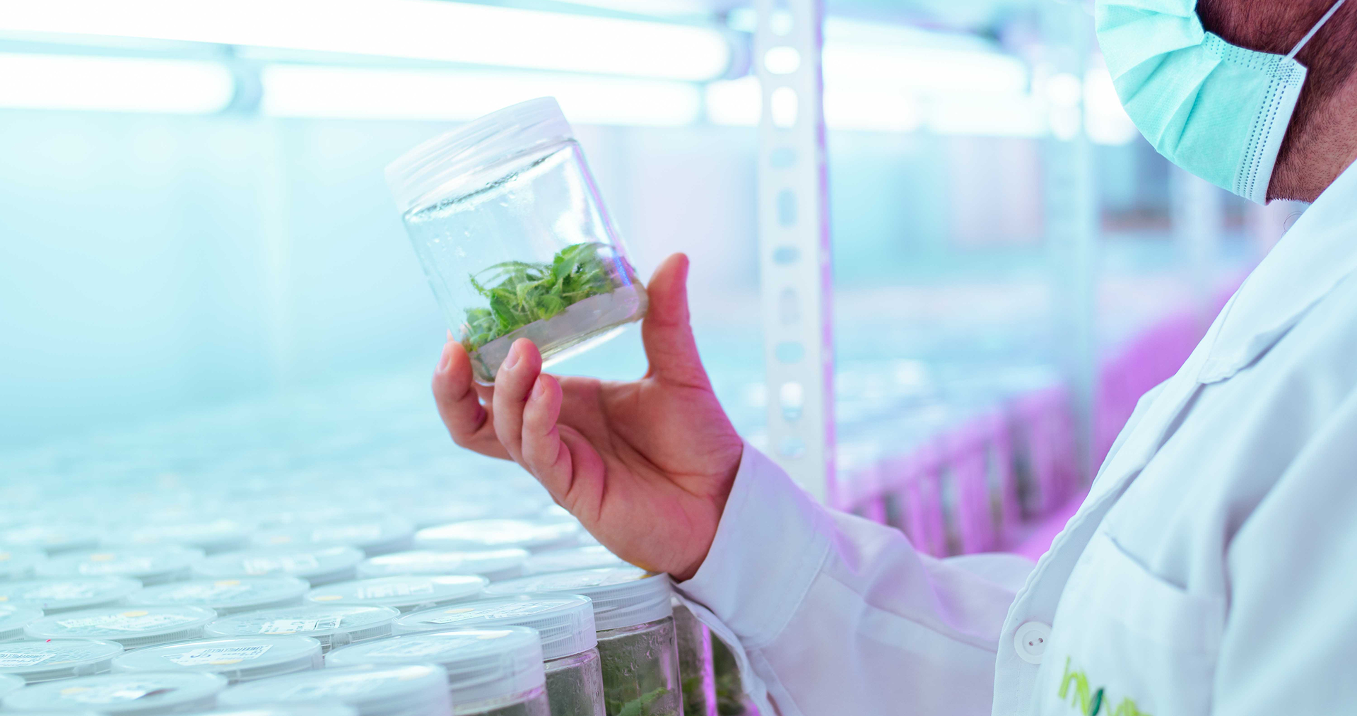 Scientist in a white lab coat and mask examining a glass jar with green plant samples inside.