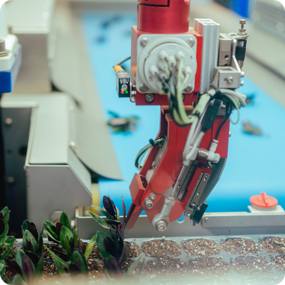 Glass jar filled with water and green plant stems submerged inside.