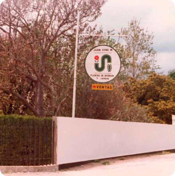 Large rectangular solar panels installed on a flat surface with trees and cloudy sky in the background.