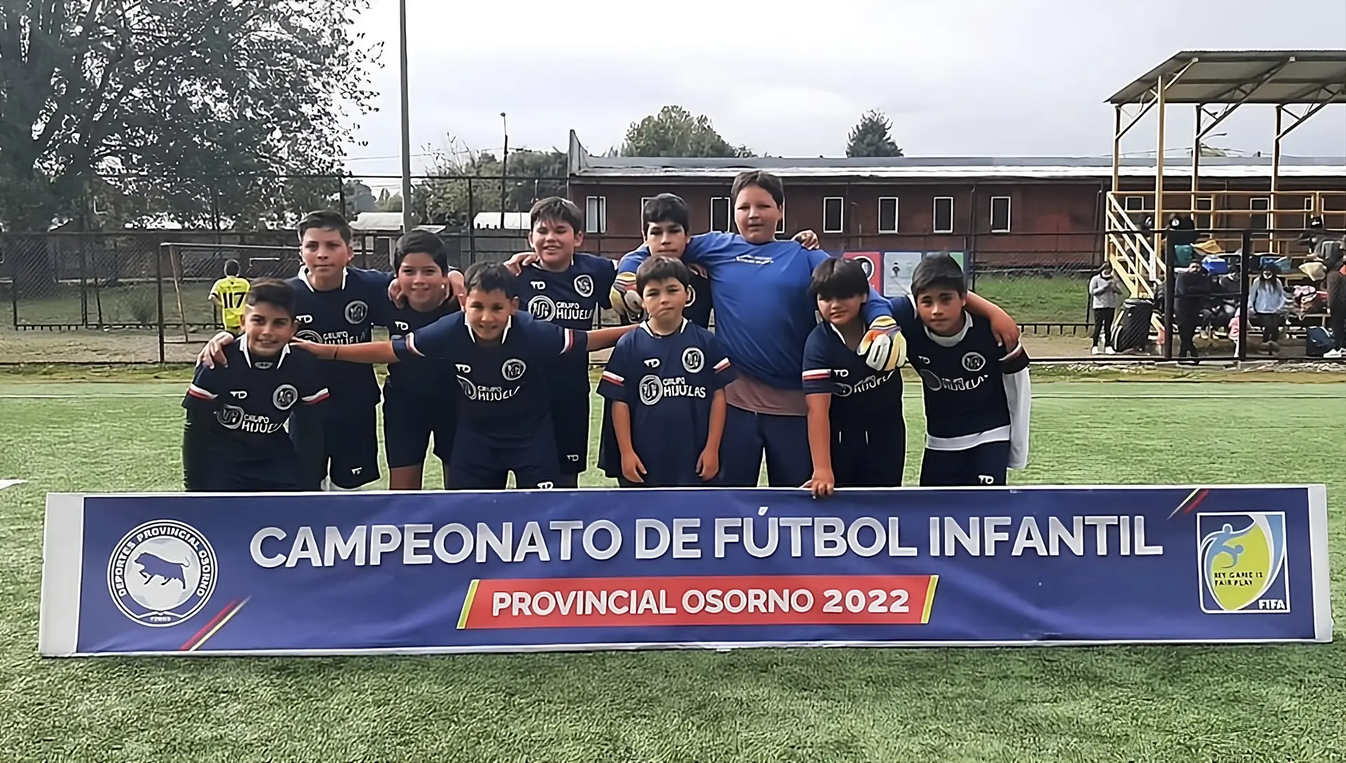 Rows of small hazelnut trees planted in a large agricultural field under a partly cloudy sky.