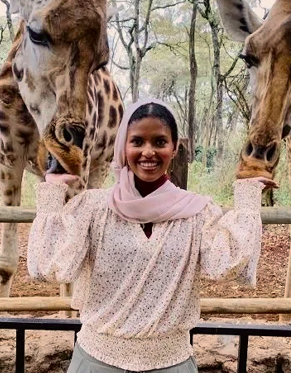 Smiling woman wearing a light pink hijab and blouse feeding two giraffes with their heads close to her hands.