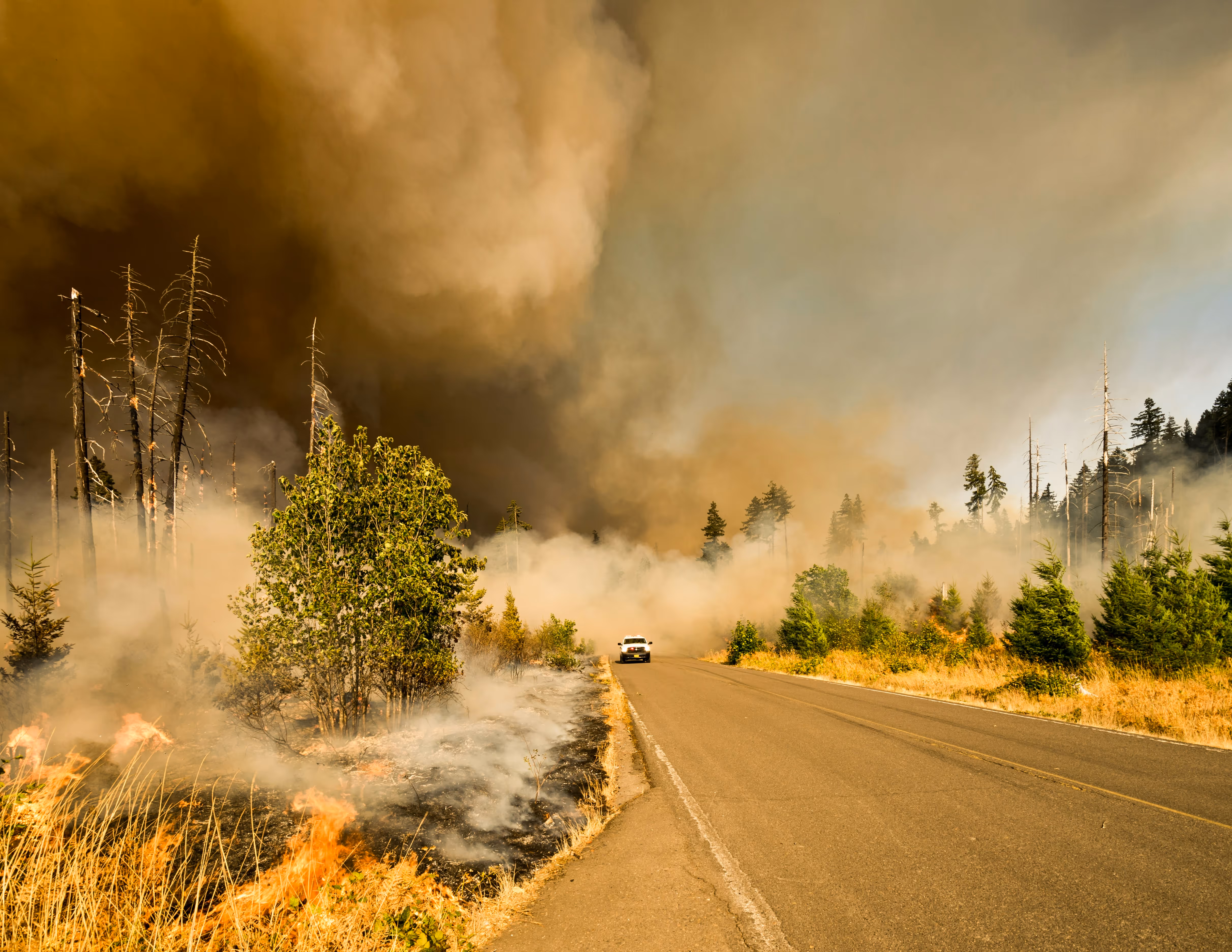 Wildfire burning dry grass and trees alongside a road with heavy smoke filling the sky and a white vehicle in the distance.