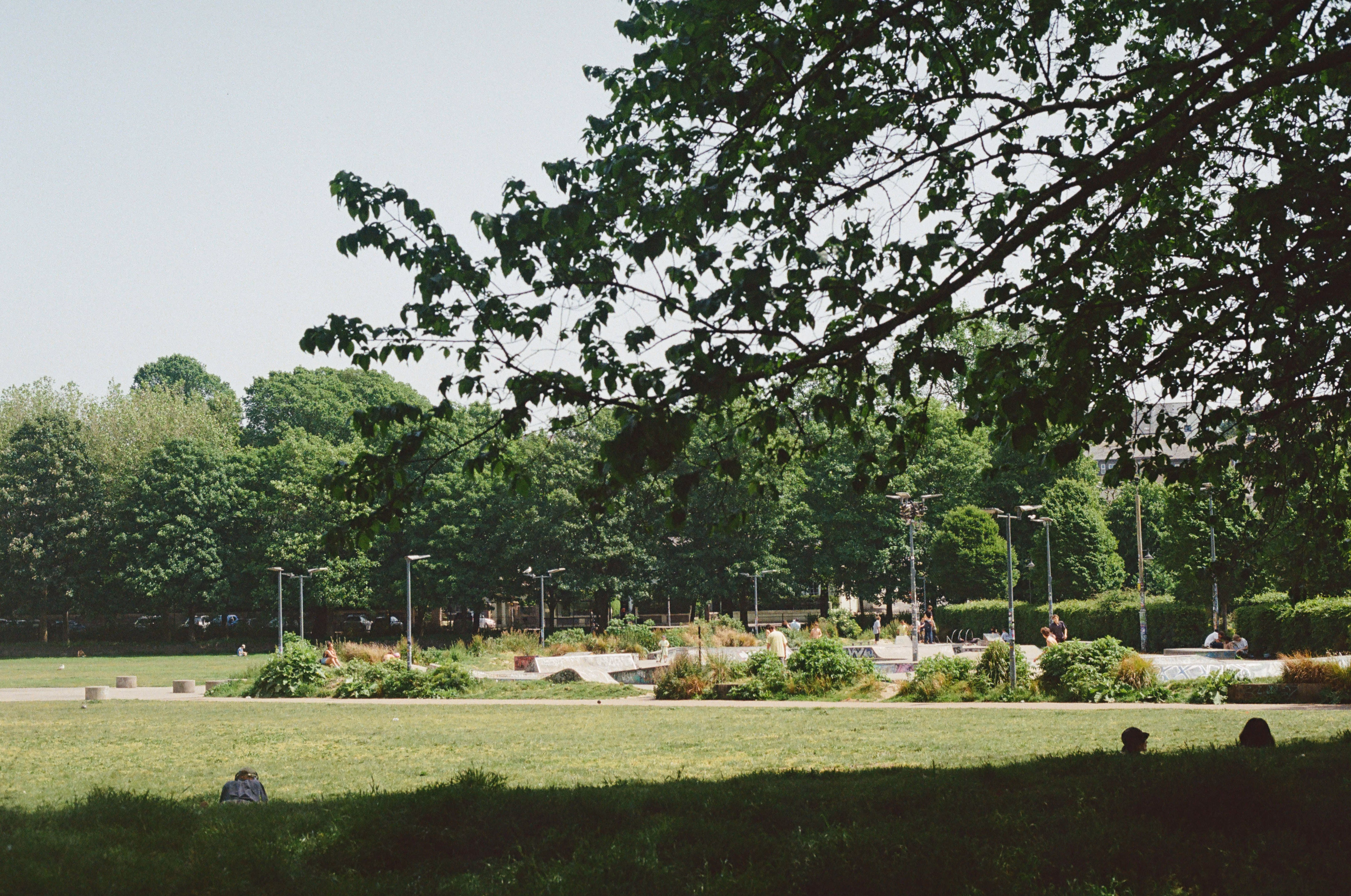 Park scene with open grassy area, shaded tree branches, and people near a skate park under clear sky.