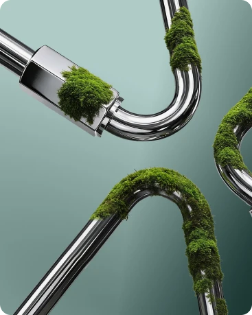 Close-up of chrome pipes with green moss growing on parts of their curved sections.