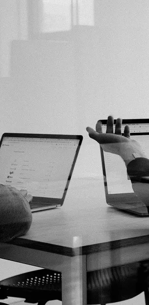 The Image of Importex, Trade compliance consulting