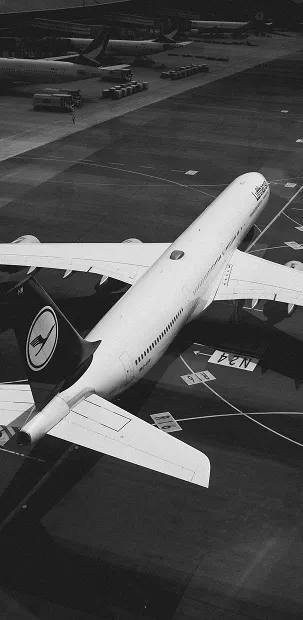 The Image of Importex, On-board Courier Services