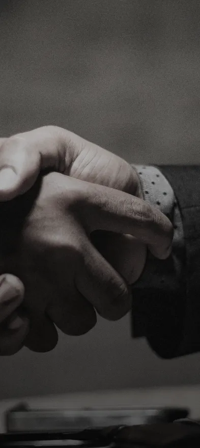 The Image of Importex, International trade consulting