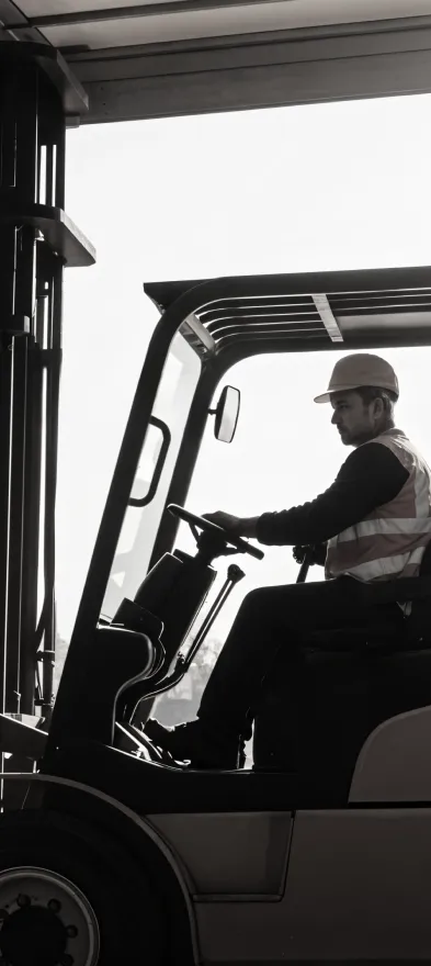 The Image of Importex, International trade consulting