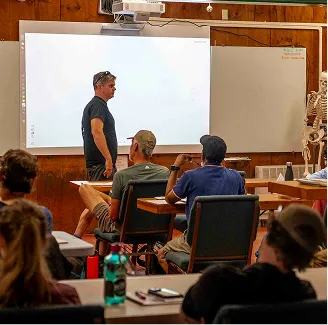 The Image of Importex, International trade consulting