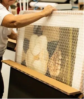 The Image of Importex, On-board Courier Services