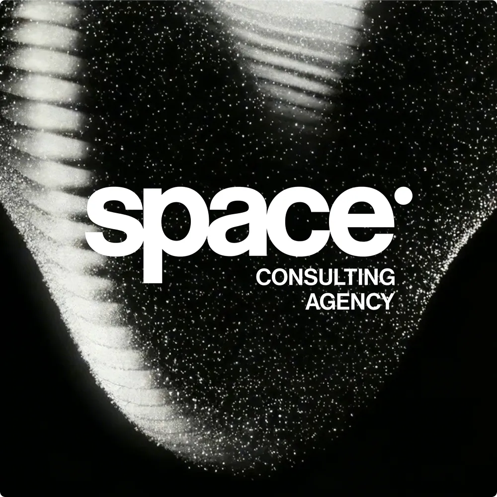 space consulting