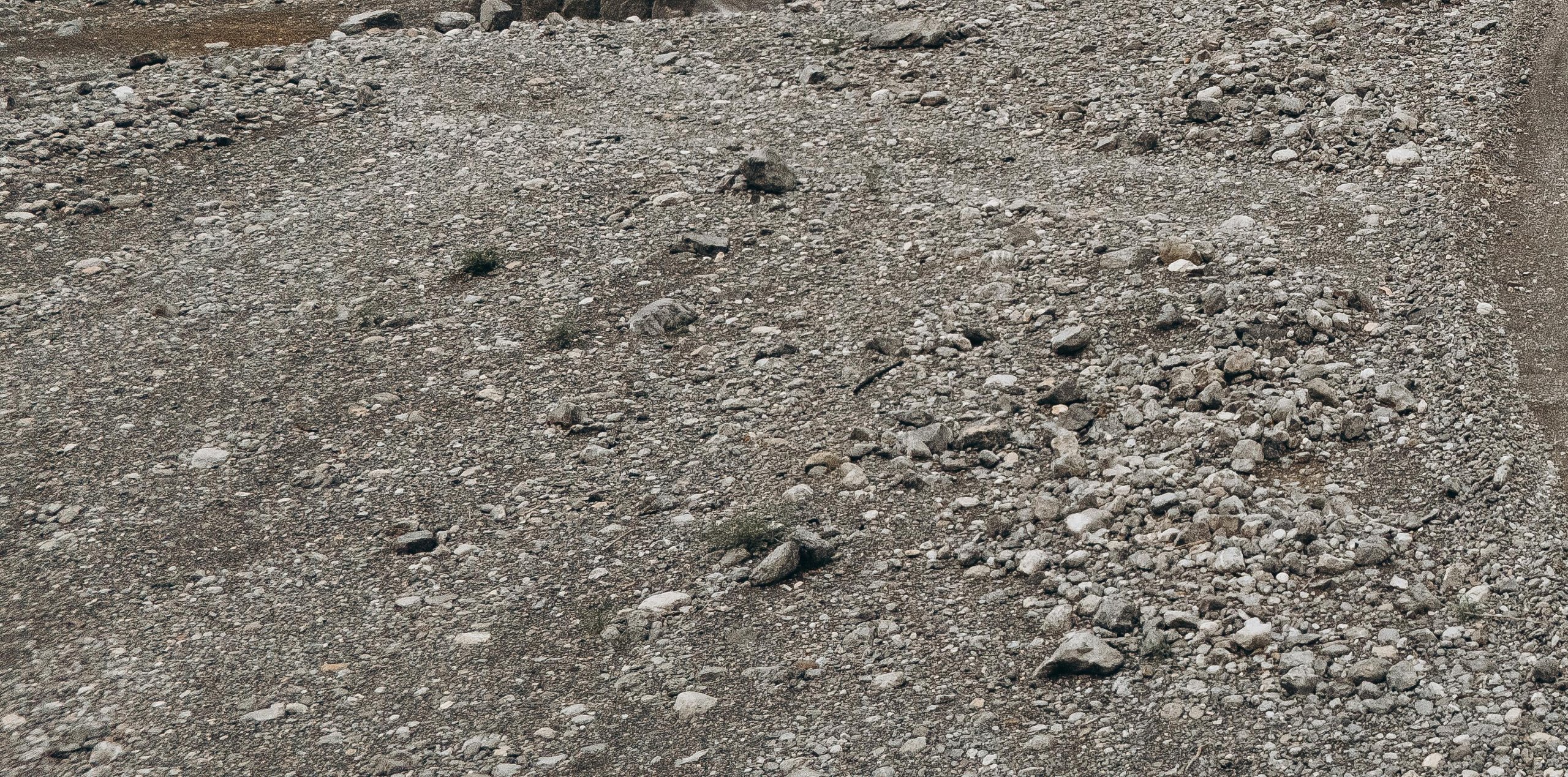 Close-up of a rocky, gravel-strewn ground with scattered small stones and patches of dirt.
