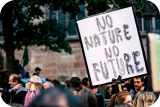 Protesters in a crowd holding a sign that reads 'No Nature No Future.'