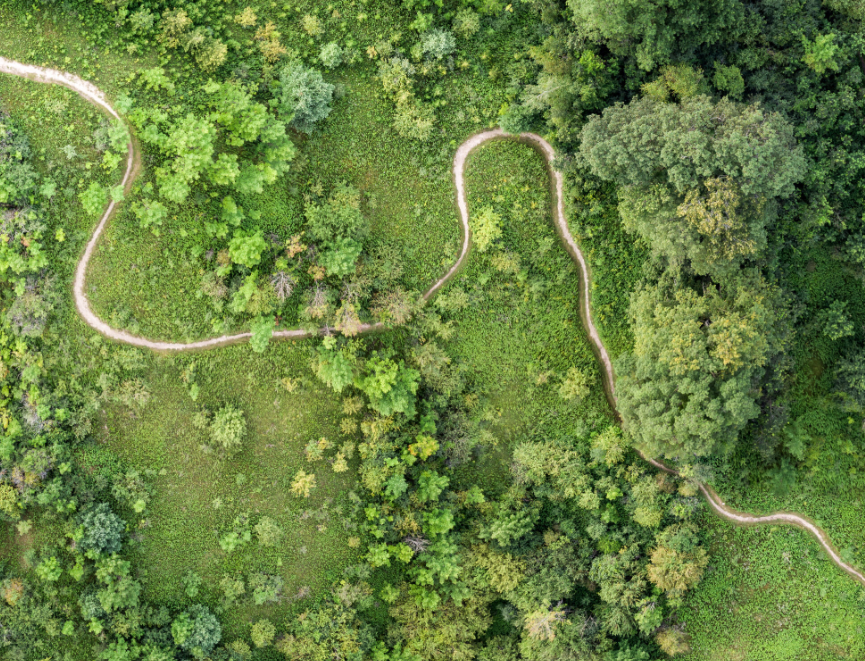 A winding dirt path cuts through a green forested area with dense trees and grassy patches.