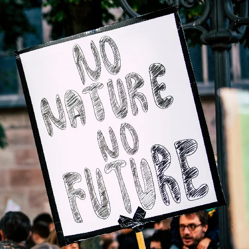 Protest sign held up reading 'NO NATURE NO FUTURE' with blurred crowd in the background.