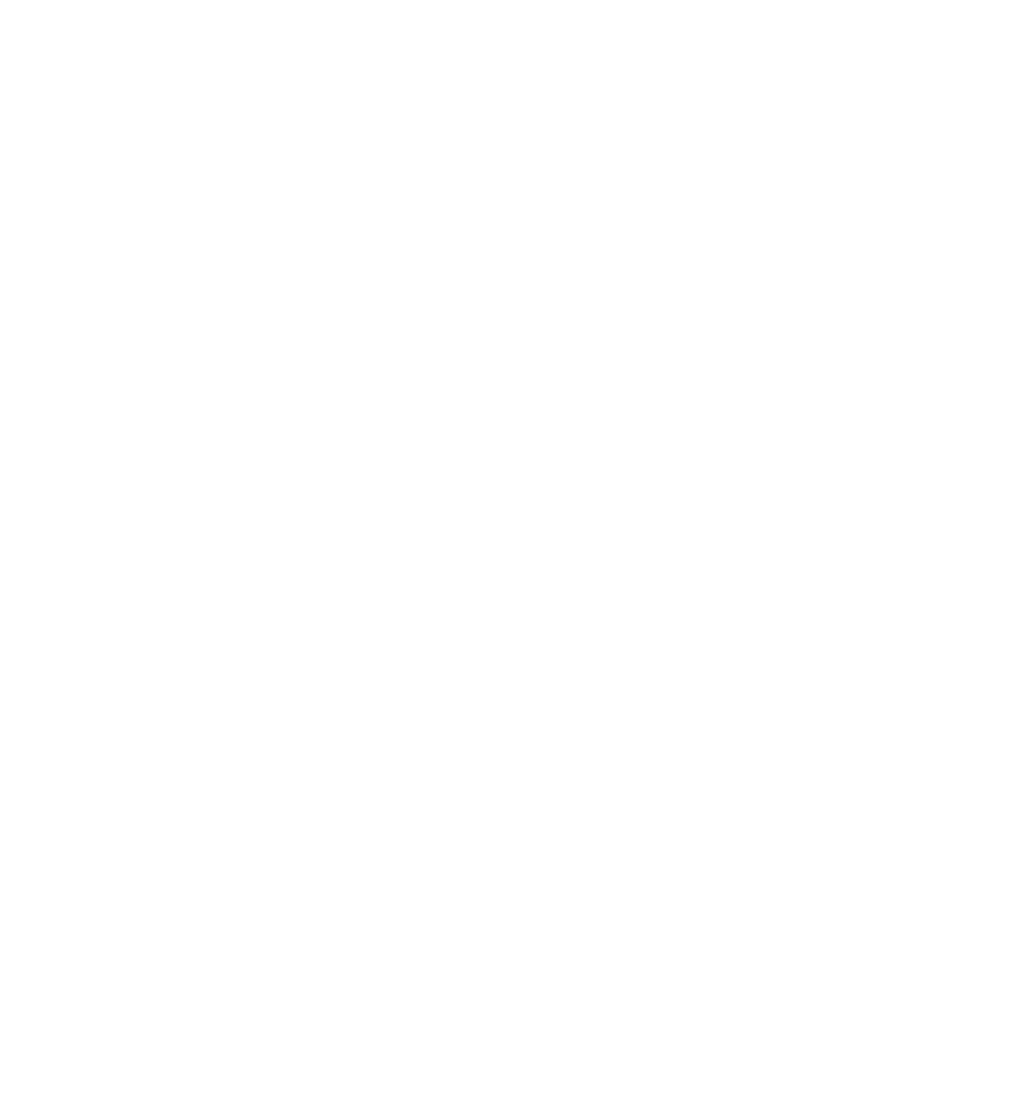 PSI logo with stylized letters and text 'Since 2000' inside a partial circle.