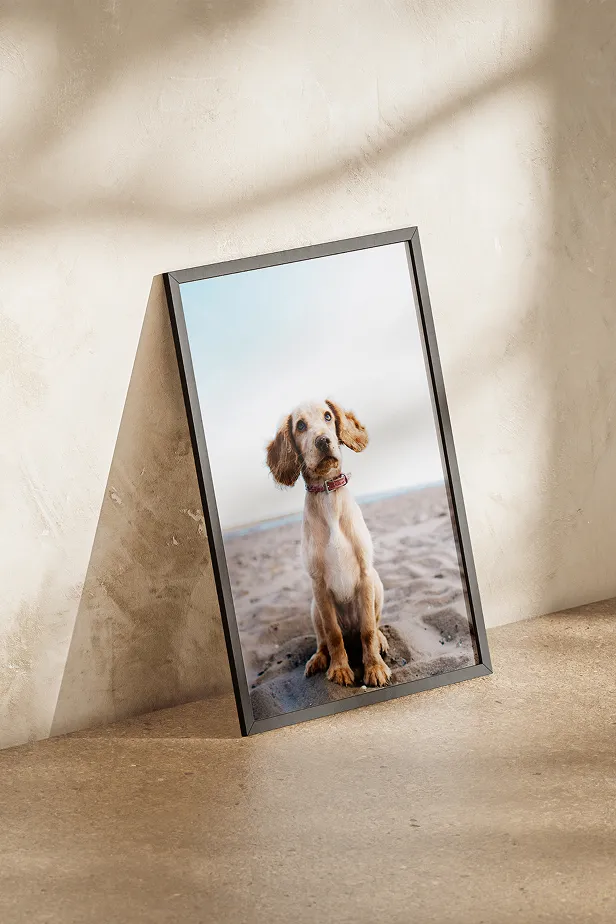 Framed photo of a young dog with floppy ears sitting on a sandy beach, propped against a textured beige wall.