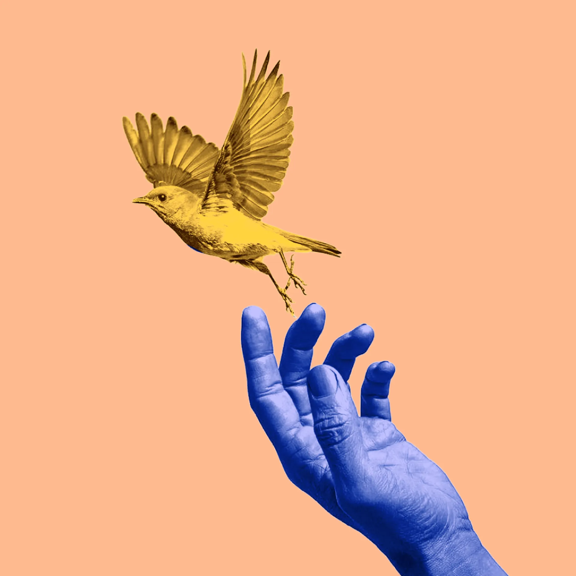 Blue hand releasing a yellow bird with wings spread against a peach background.