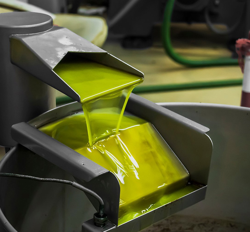 An olive oil extractor