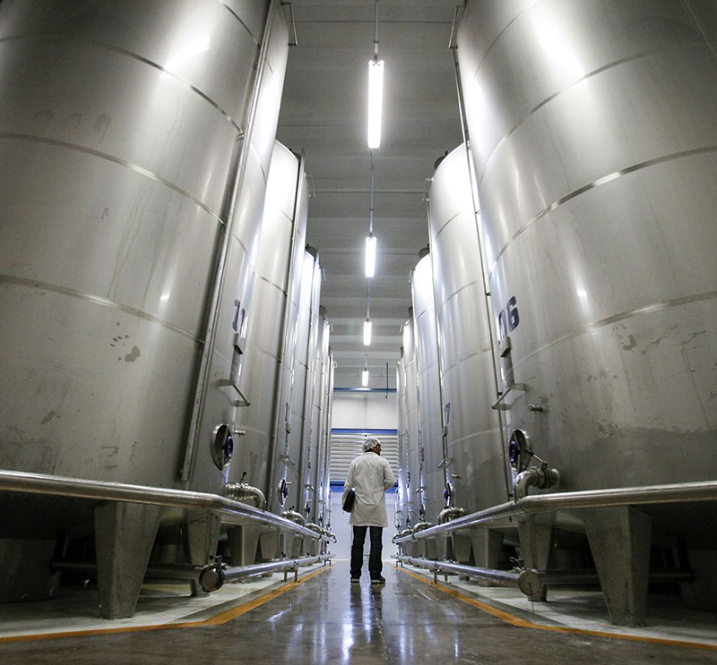 Man standing between two olive oil tanks