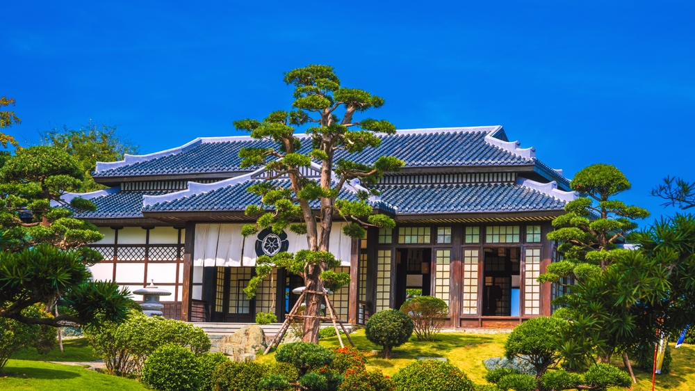 Hotels or Homestays? What Years of Travel Taught Me About Safety, Comfort, and Real Connection