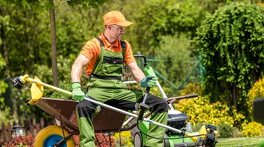 Process Item Right Image