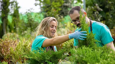 Process Item Right Image