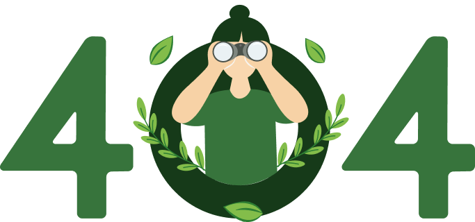 404 Image