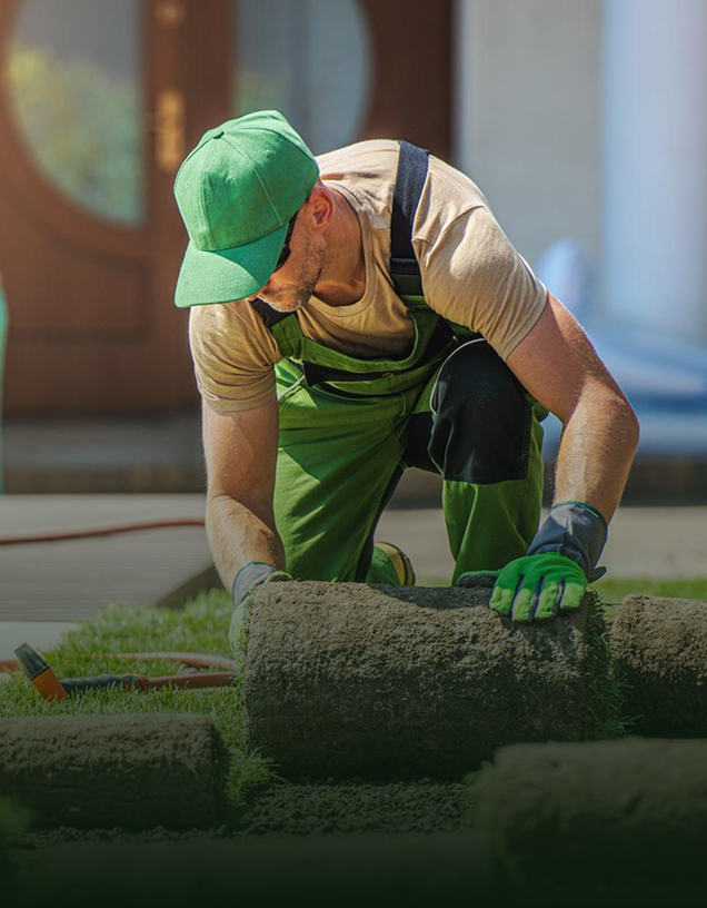 About Single Slide Image