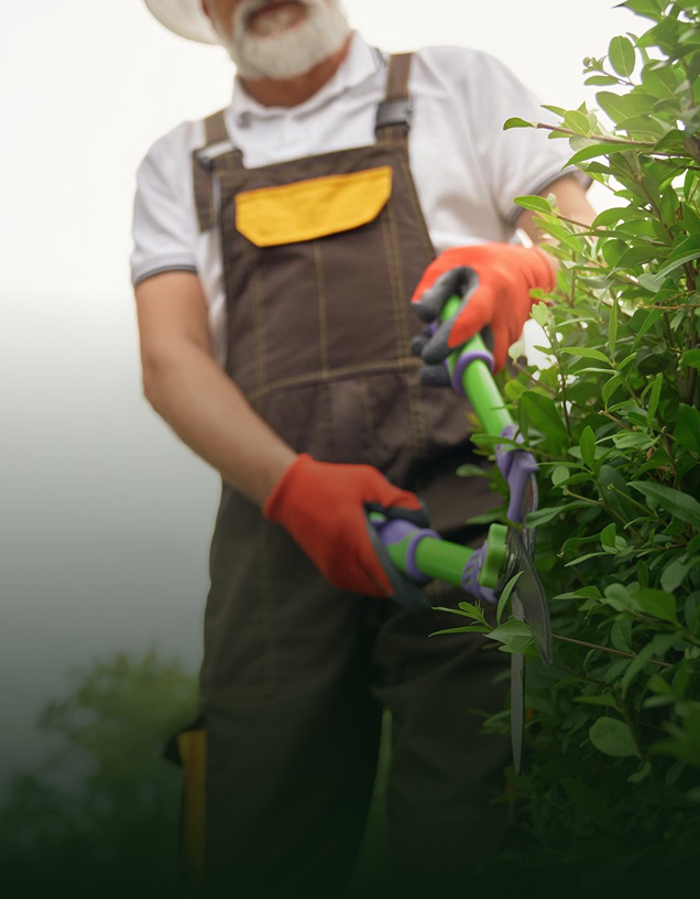 About Single Slide Image