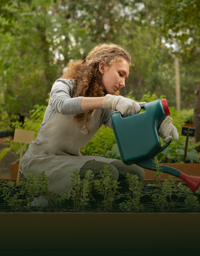 About Single Slide Image