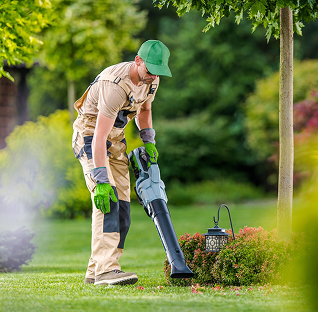 About Item Info Image