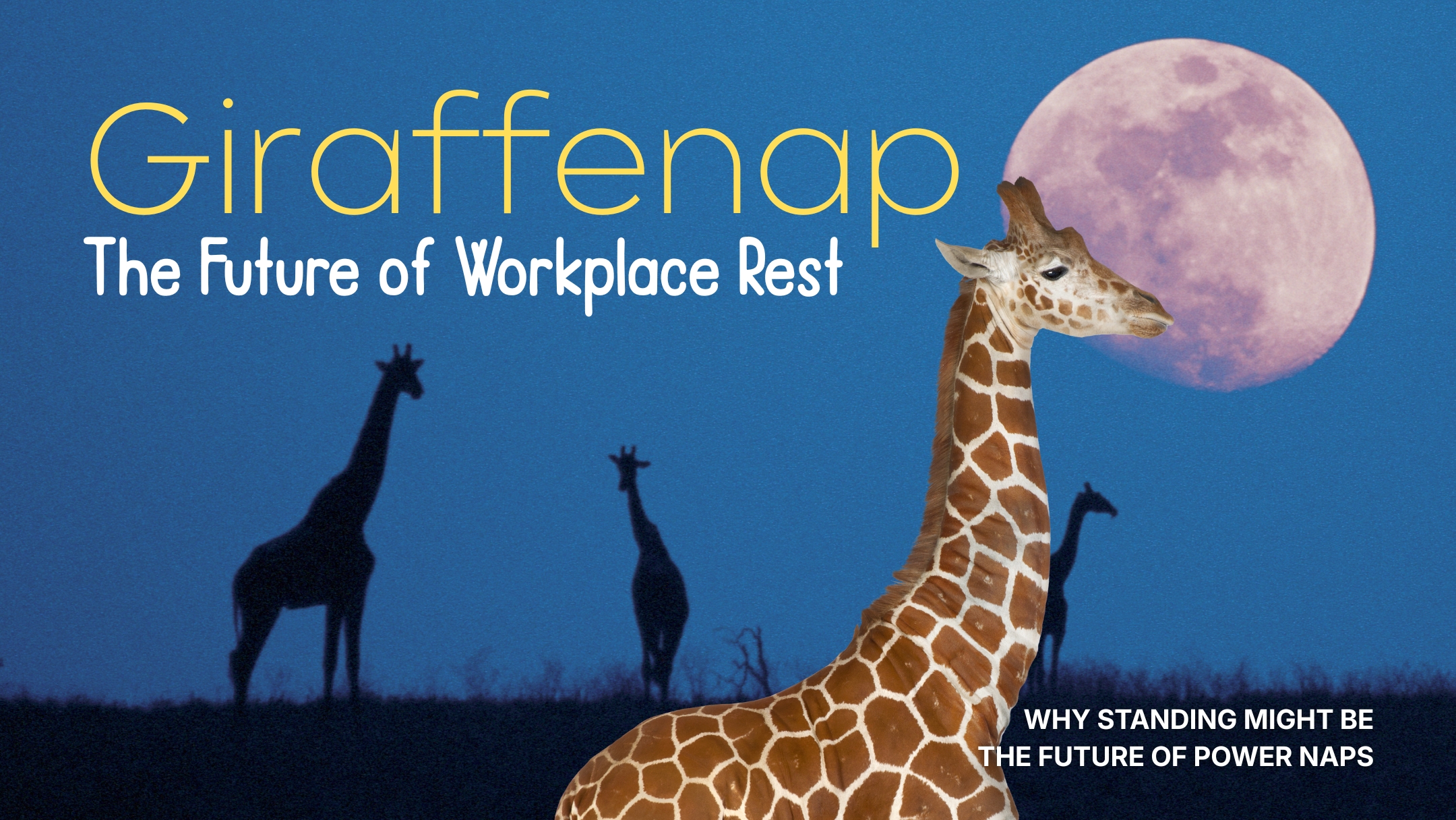 Giraffenap