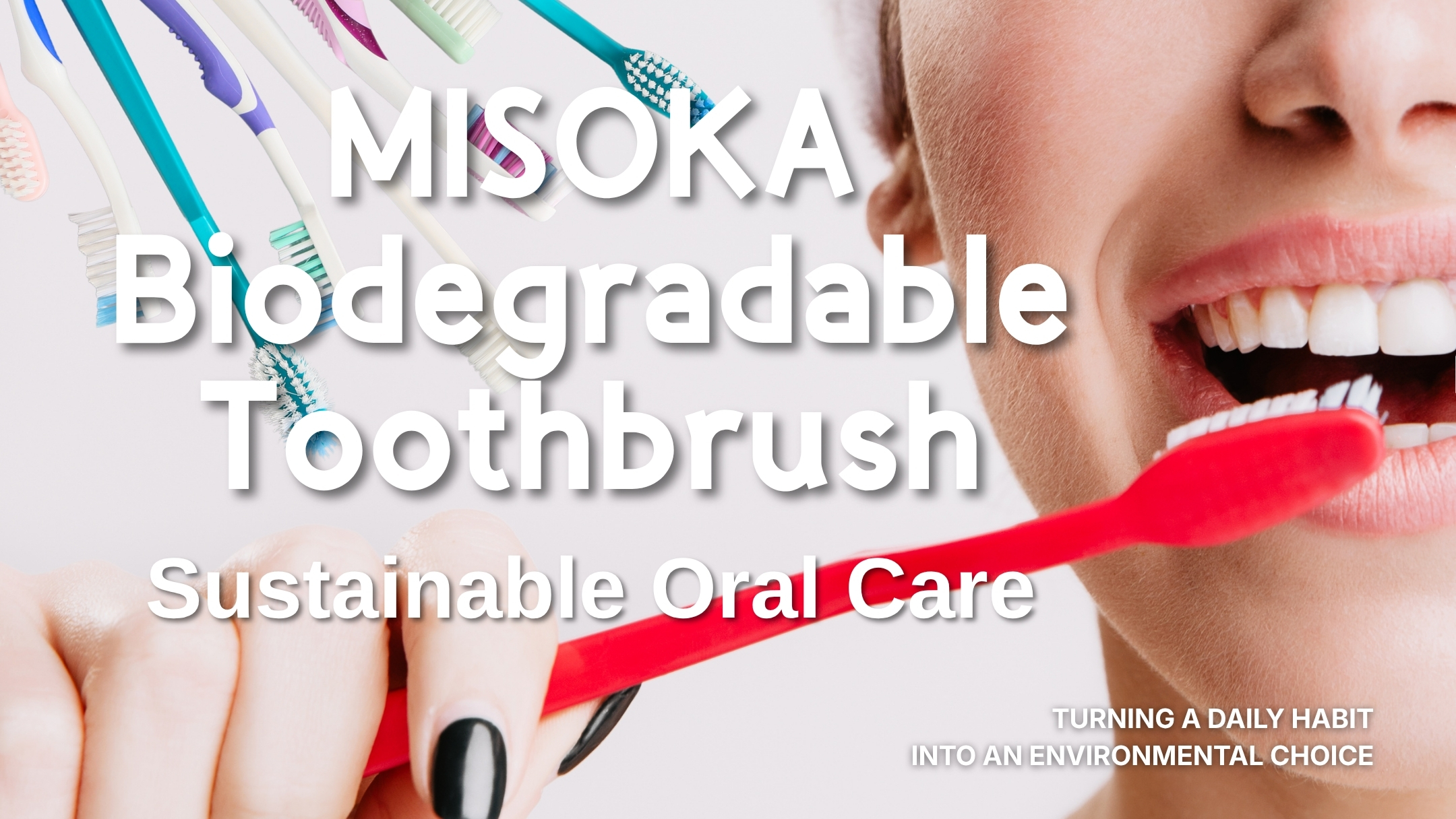 MISOKA Biodegradable Toothbrush