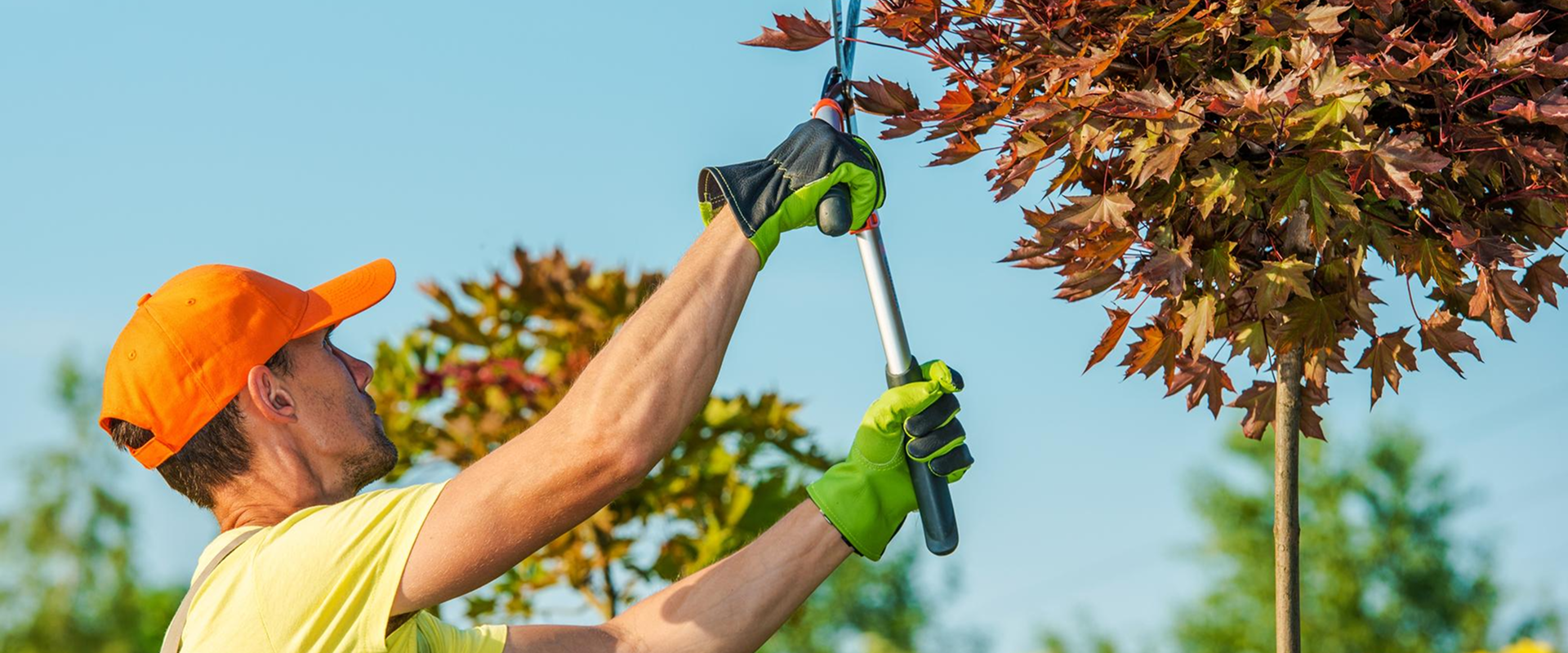 Service Details Hero Image