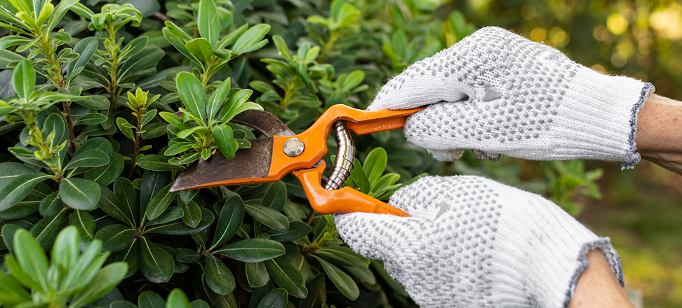 Service Details Image