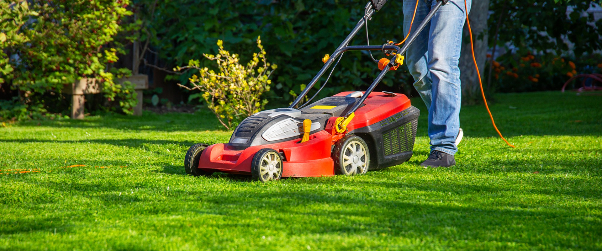 Service Details Hero Image