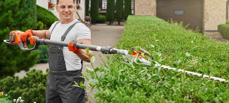 Service Details Image