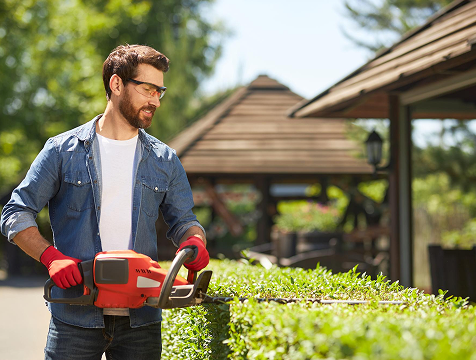 Service Details Image