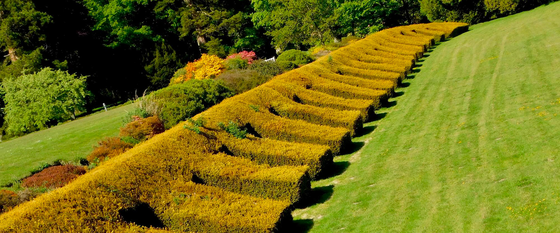 Service Details Hero Image