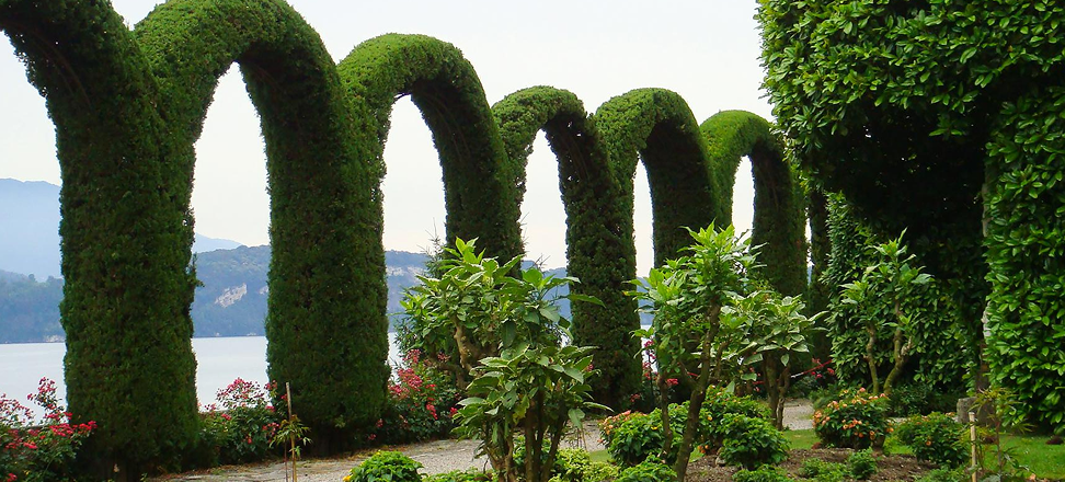 Service Details Image