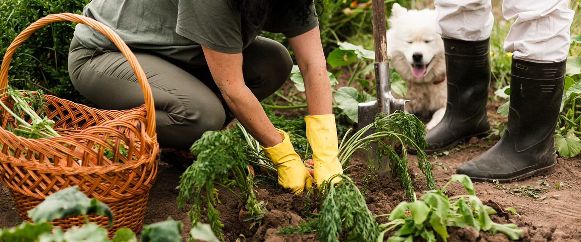 Service Details Hero Image