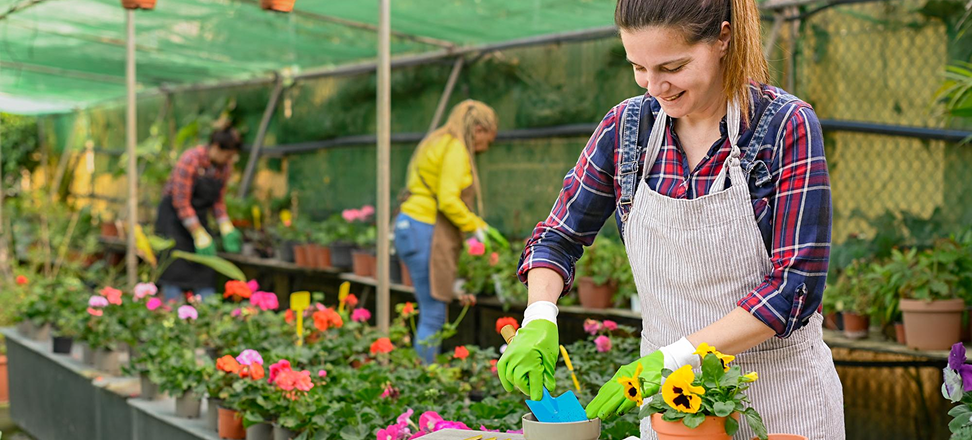 Service Details Image