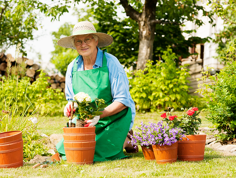 Service Details Image